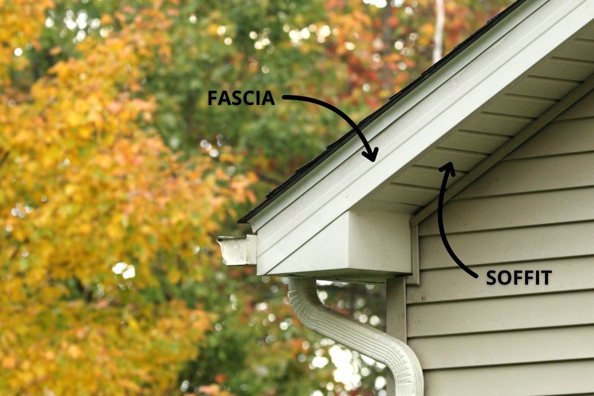 image of a roof in autumn with arrows pointing out the Soffit and Fascia of the home.